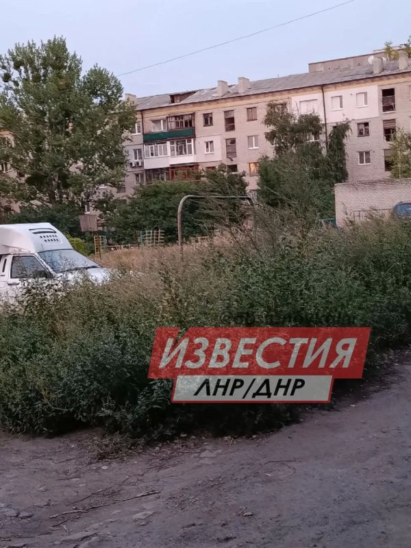 Двор в Лисичанске — как из хоррора: амброзия выше пояса, окна выбиты, канализация течёт Двор в Лисичанске — как из хоррора: амброзия выше пояса, окна выбиты, канализация течёт