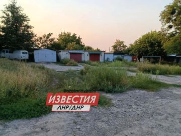 Двор в Лисичанске — как из хоррора: амброзия выше пояса, окна выбиты, канализация течёт