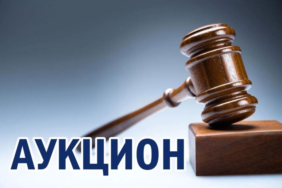 Аукцион по продаже земельных участков из государственной собственности ЛНР