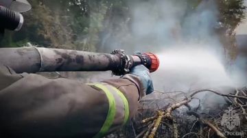На минувших выходных в ЛНР ликвидировано 54 ландшафтных пожара
