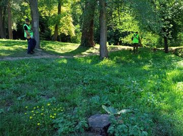 Специалисты "Луганского комбината зеленого хозяйства и благоустройства" продолжают покос парков и скверов