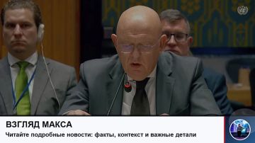 Состоялось заседание Совета Безопасности ООН по Украине