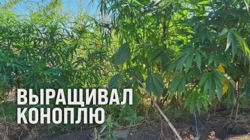 � ������ ����������� ����� ����� 1,4 �� ���������