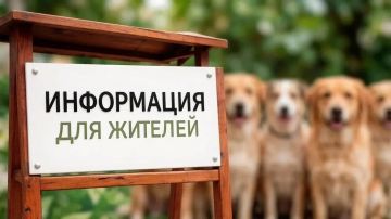 УВАЖАЕМЫЕ ЖИТЕЛИ!!!!. На территории городского округа муниципальное образование городской округ город Красный Луч Луганской Народной Республики на еженедельной основе проводятся мероприятия по отлову животных без владельцев...
