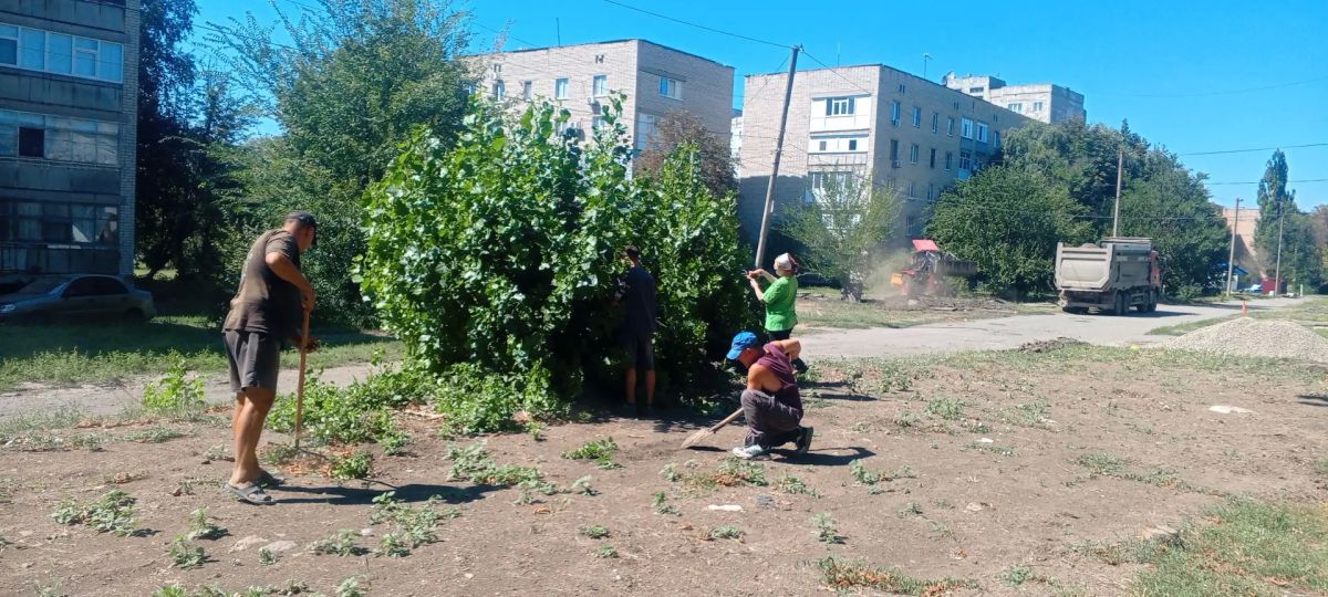 Благоустройство прилегающей территории МБУДО «ДШИ №2 г. Ровеньки Благоустройство прилегающей территории МБУДО «ДШИ №2 г. Ровеньки