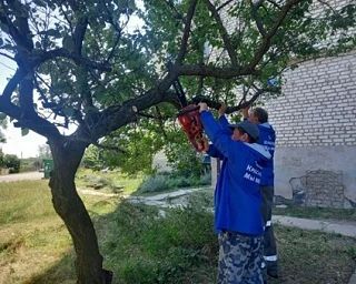 Вопросы поддержки участников специальной военной операции, которые по состоянию здоровья нуждаются в особой заботе и внимании, являются приоритетным направлением нашей работы Вопросы поддержки участников специальной военной операции, которые по состоянию здоровья нуждаются в особой заботе и внимании, являются приоритетным направлением нашей работы