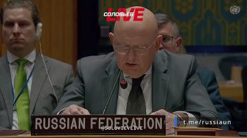 «Не сумев добиться желаемых результатов на поле боя, киевский режим окончательно скатился до откровенного террора против мирного населения России» – Василий Небензя