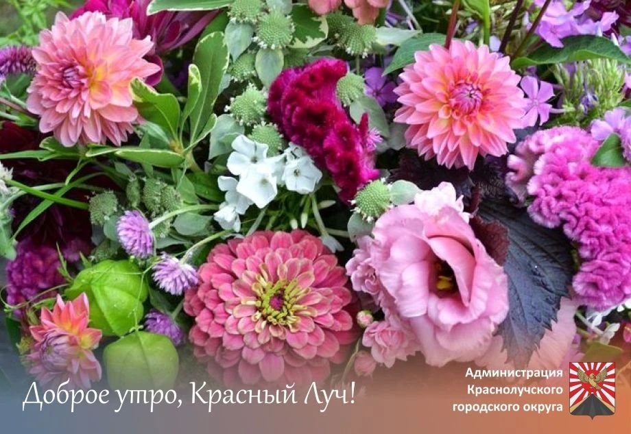 Доброе утро, краснолучане и гости города!