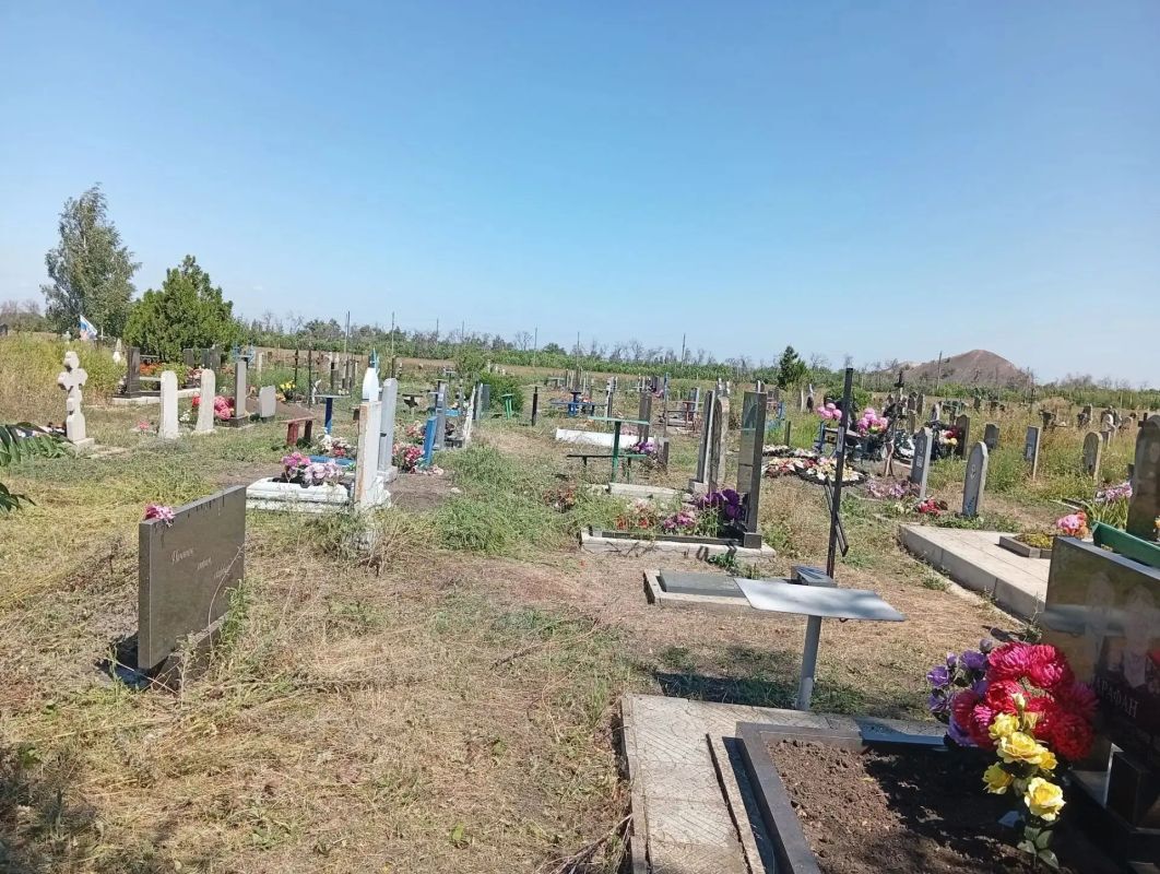 Благоустройство и озеленение: забота о городе продолжается Благоустройство и озеленение: забота о городе продолжается