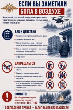 Что делать при пролёте БПЛА: рекомендации МВД России по ЛНР