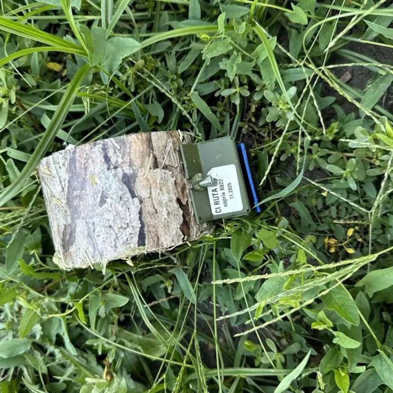 Мониторинговые каналы показали ВСУшные мины, замаскированные под пеньки