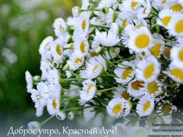 Доброе утро, краснолучане и гости города!
