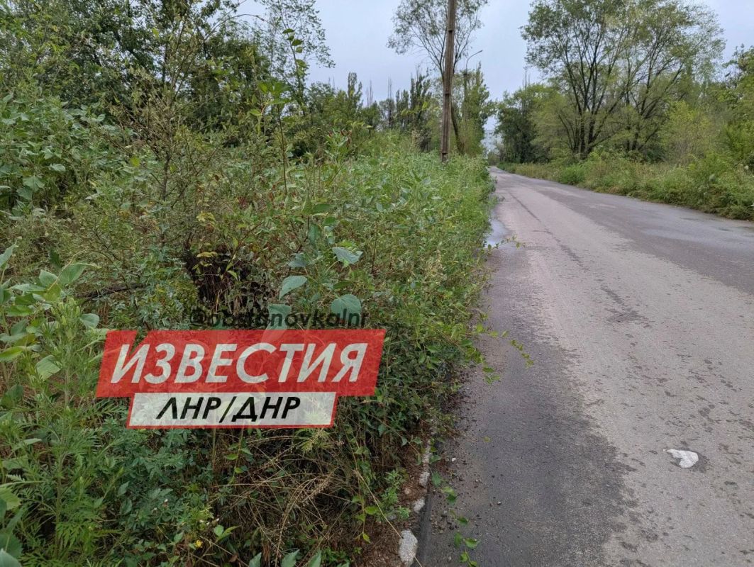 Амброзия в человеческий рост — жители Луганска жалуются на заросли опасного сорняка Амброзия в человеческий рост — жители Луганска жалуются на заросли опасного сорняка