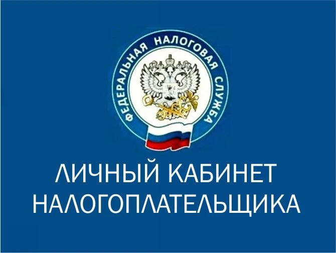 Налоги 2026: почему жителям ЛНР нужно срочно завести Личный кабинет ФНС