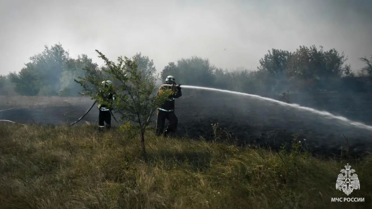 В ЛНР за сутки ликвидировали 26 пожаров, выгорело более 40 гектаров В ЛНР за сутки ликвидировали 26 пожаров, выгорело более 40 гектаров