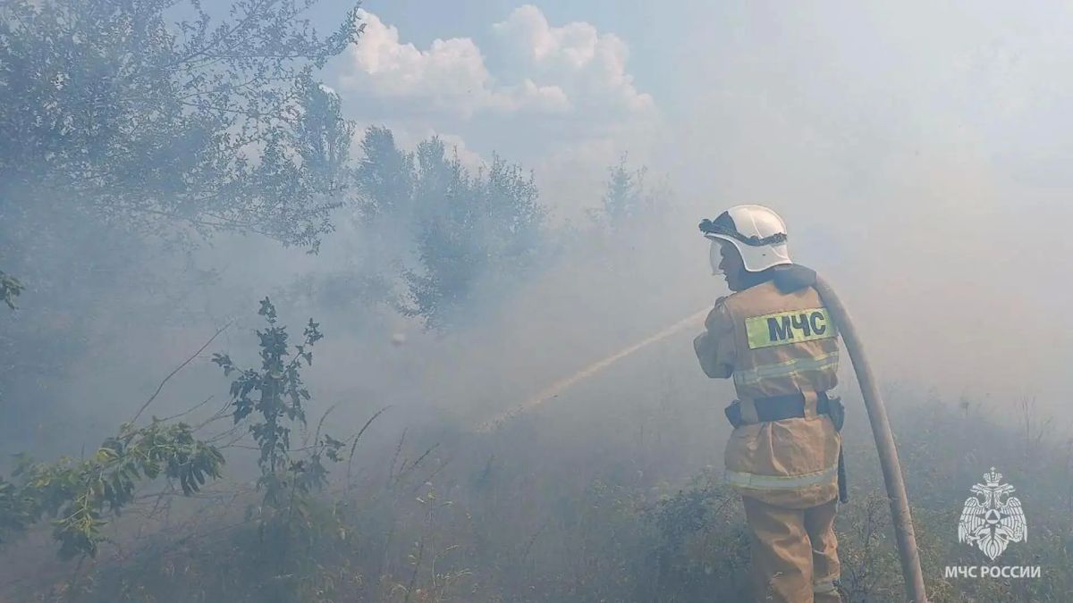 В ЛНР за сутки ликвидировали 26 пожаров, выгорело более 40 гектаров