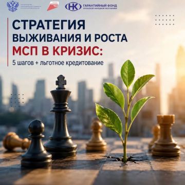 Стратегия выживания и роста МСП в кризис: 5 шагов + льготное кредитование
