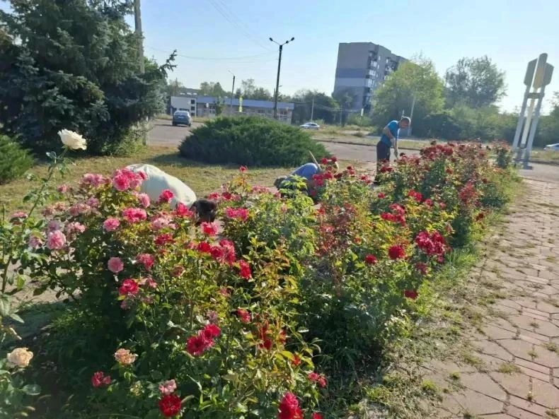 26 августа трудовой десант ГБУ ЛНР «Первомайский КЦСОН» провел комплекс мероприятий по благоустройству 26 августа трудовой десант ГБУ ЛНР «Первомайский КЦСОН» провел комплекс мероприятий по благоустройству