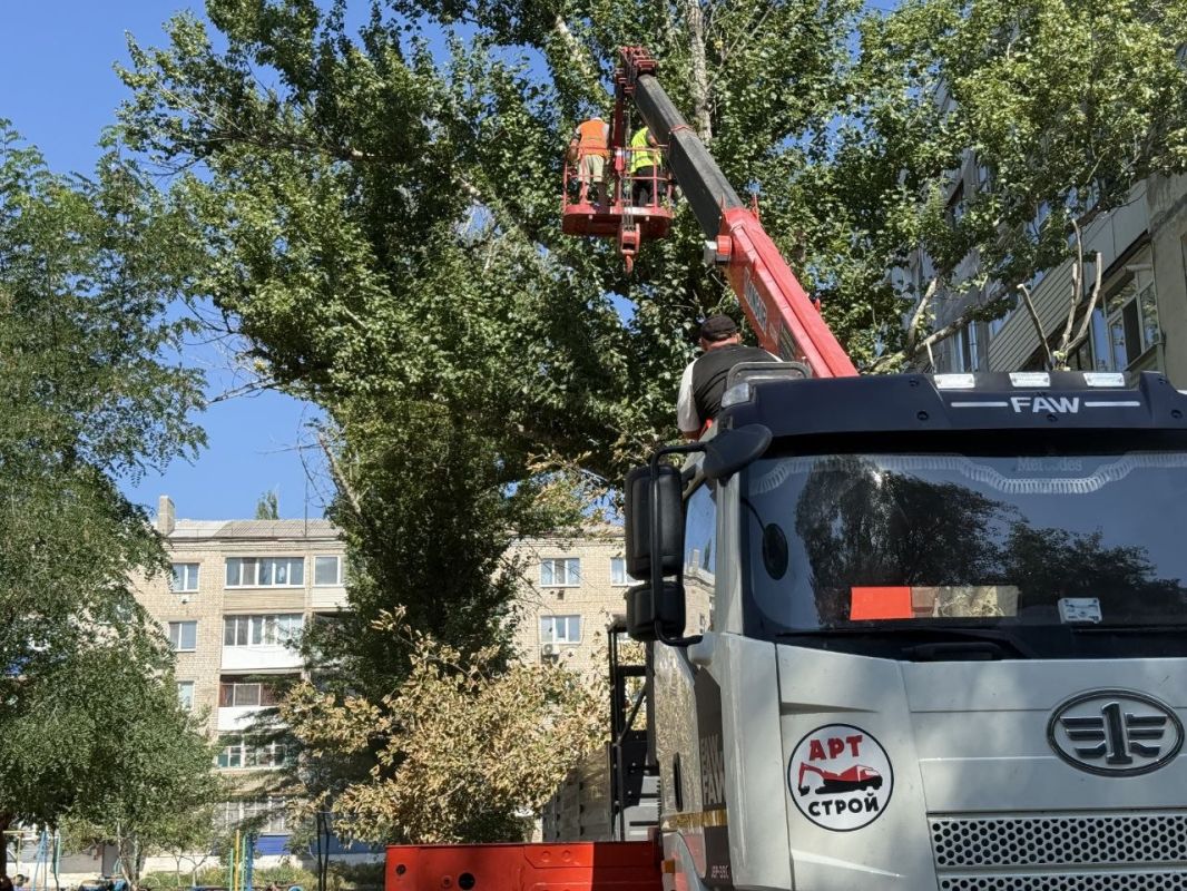 Во дворе квартала Лютикова г. Краснодона спилят более 20 аварийных деревьев Во дворе квартала Лютикова г. Краснодона спилят более 20 аварийных деревьев