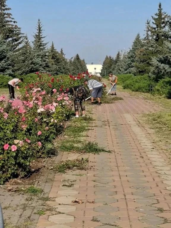 26 августа трудовой десант ГБУ ЛНР «Первомайский КЦСОН» провел комплекс мероприятий по благоустройству 26 августа трудовой десант ГБУ ЛНР «Первомайский КЦСОН» провел комплекс мероприятий по благоустройству