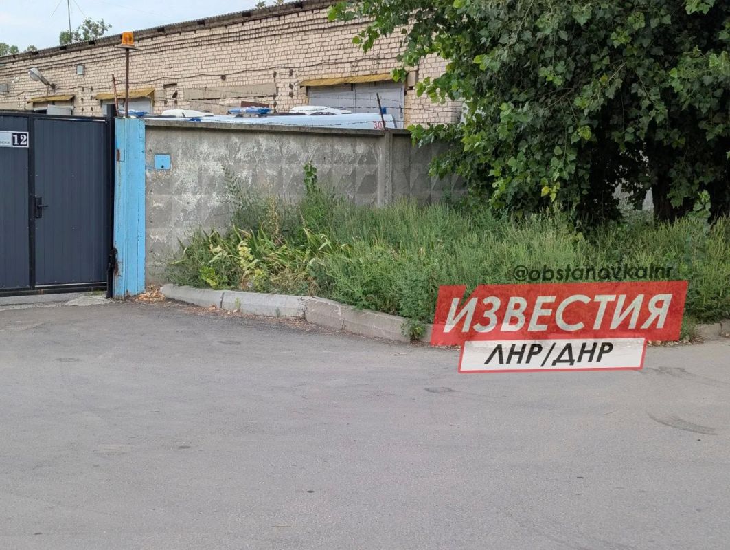 Амброзия в человеческий рост — жители Луганска жалуются на заросли опасного сорняка Амброзия в человеческий рост — жители Луганска жалуются на заросли опасного сорняка