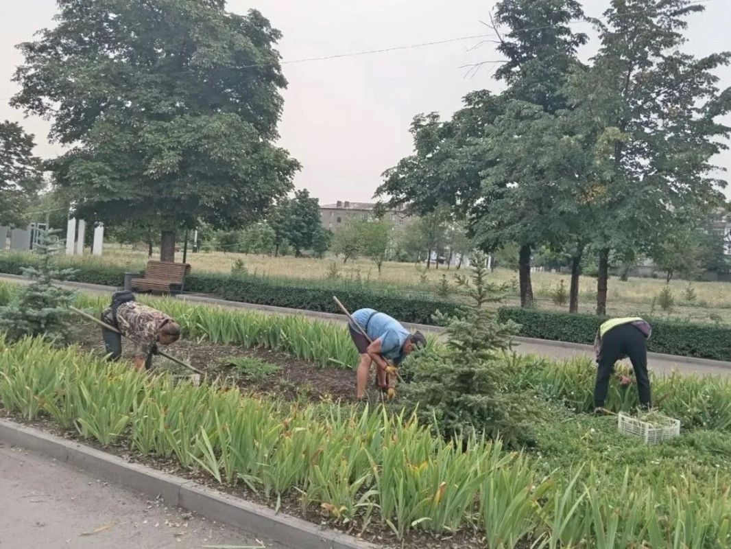Коммунальными службами проведены работы на территории города Коммунальными службами проведены работы на территории города