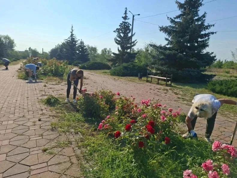 26 августа трудовой десант ГБУ ЛНР «Первомайский КЦСОН» провел комплекс мероприятий по благоустройству