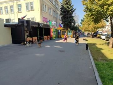 ���� ��������� ���� �������� � ������ ��������