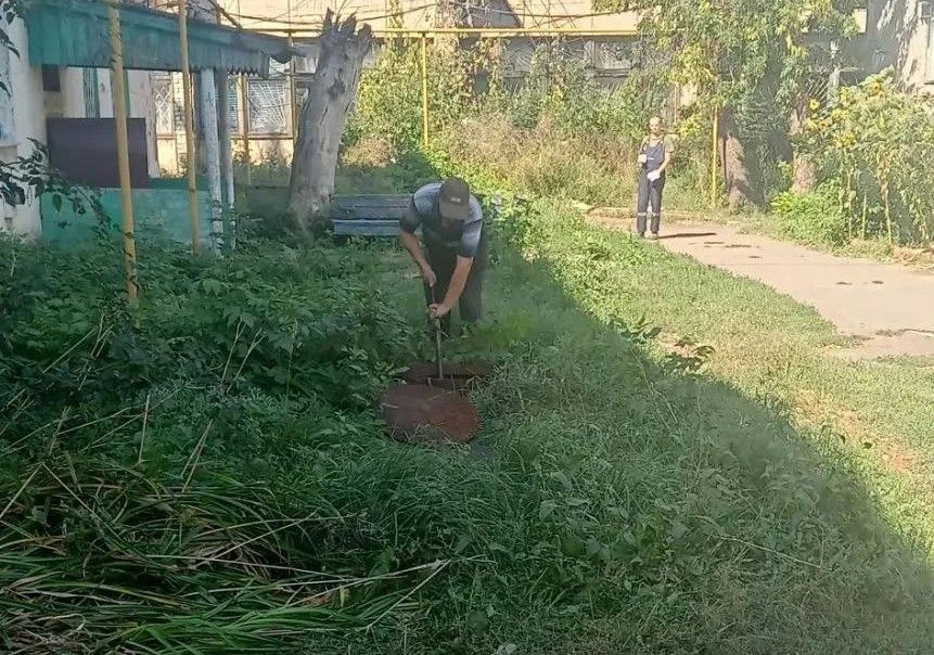 В Красном Луче продолжаются ежедневные работы по благоустройству В Красном Луче продолжаются ежедневные работы по благоустройству
