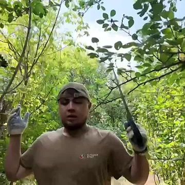 ��������� ������ ���, ��� � ���