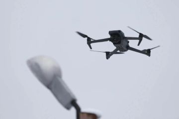 Свыше 500 украинских БПЛА перехватили за ночь над регионами