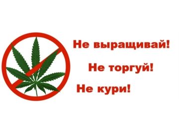 ������������ ������������ ���������: ������ � ������� ���������������� �������������� ������
