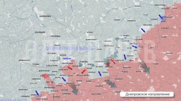 Олег Царёв: Фронтовая сводка 29 августа