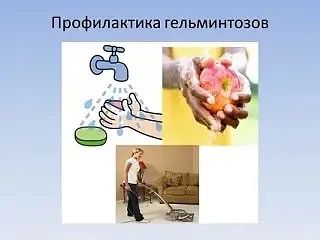 ������������ ������������: ��� �������� ���� � �����