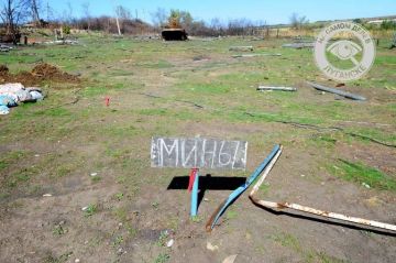 В ЛНР в прошедшие сутки обнаружили 55 взрывоопасных предметов, сообщили в МЧС республики