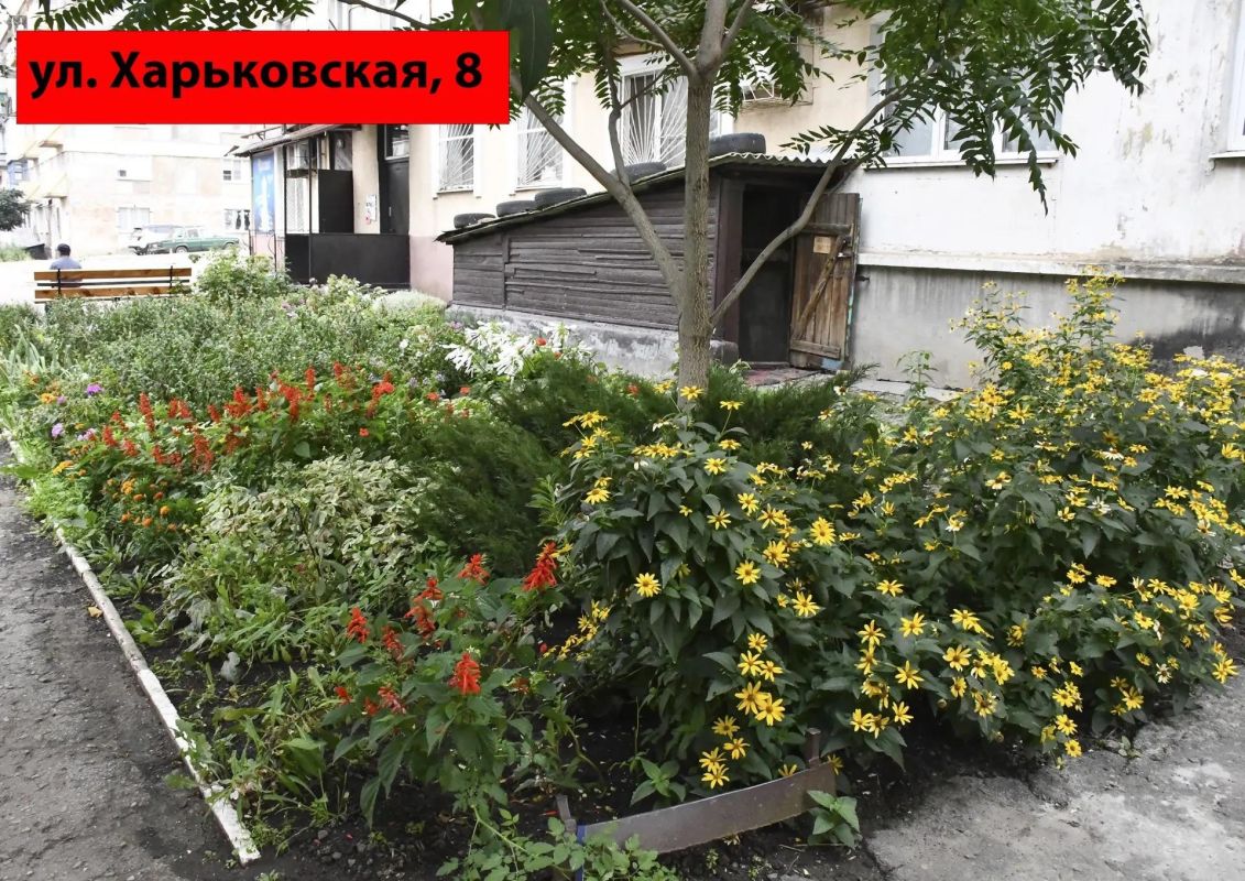 Сергей Колягин: Наш город становится краше благодаря неравнодушным людям! Сергей Колягин: Наш город становится краше благодаря неравнодушным людям!