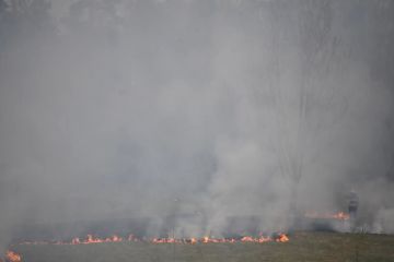 В ЛНР за сутки ликвидировали 32 пожара