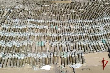 Порядка 4 тысяч взрывоопасных предметов найдено на территории ЛНР