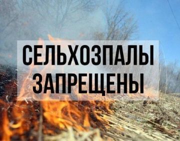 Остановить огонь: выжигание стерни - это преступление!