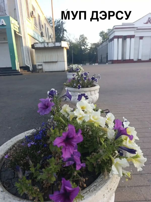 За период с 24.08.2026 по. 27.08.2026 было выполнено : За период с 24.08.2026 по. 27.08.2026 было выполнено :