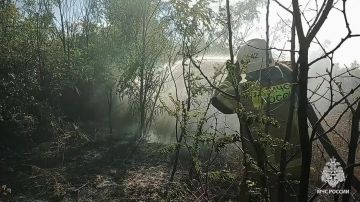 �� �������� � ��� ������������� 54 ������, 42 �� ��� - �����������