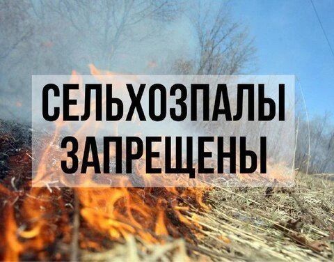 Остановить огонь: выжигание стерни - это преступление!