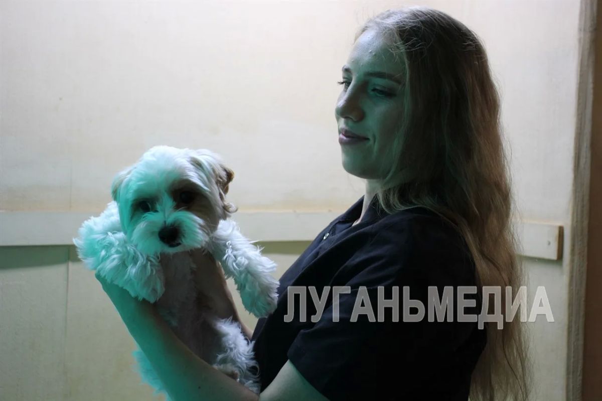 День ветеринарного работника в России отмечают 31 августа День ветеринарного работника в России отмечают 31 августа