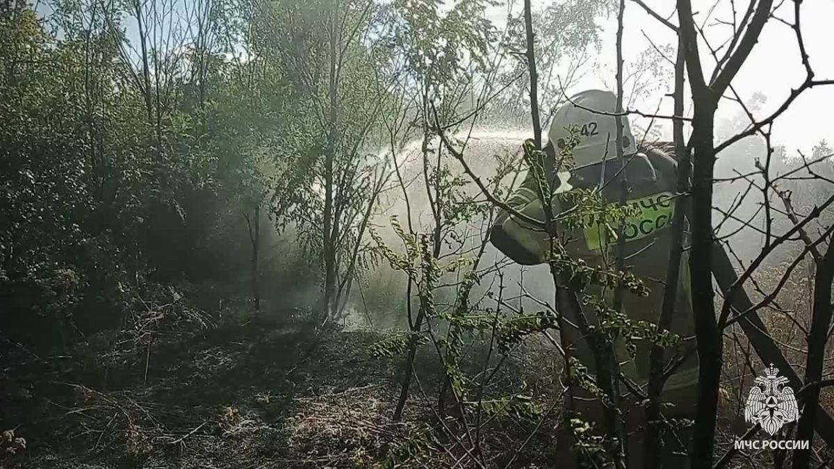 154 гектара растительности выгорело в Республике на выходных