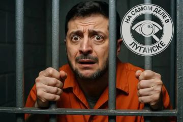 В Госдуме посоветовали Зеленскому «учить тюремную лексику» после его заявления о том, что русские и украинцы стали «незнакомцами»