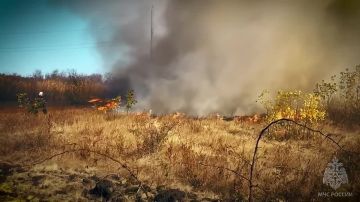� ��� �� ����� �������� 175 �������� �����