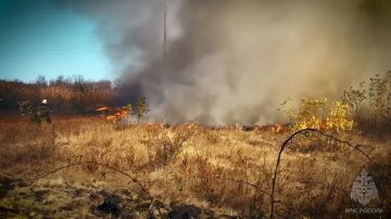 Пожары в природных зонах не сдают своих позиций