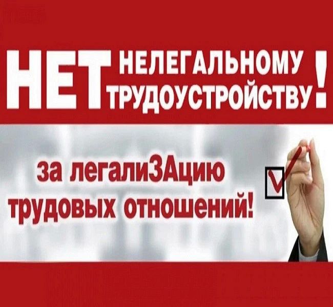 Нелегальная занятость Защити свои права
