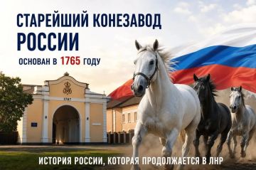 Деркульский конный завод — старейший в России, основан Екатериной II
