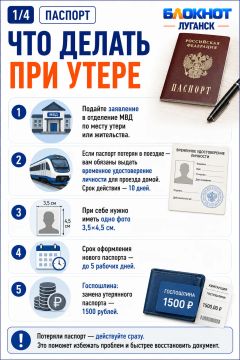 Как восстановить утерянные документы в ЛНР